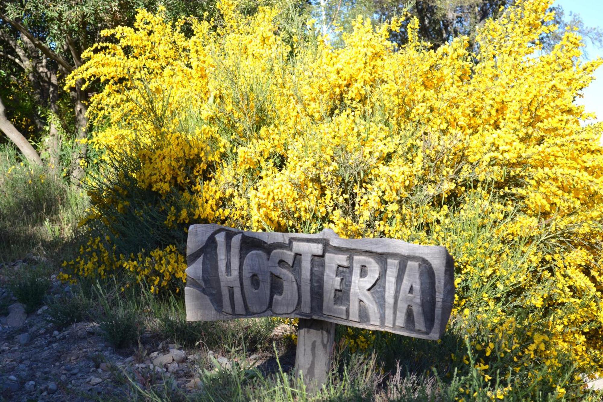 San Martín de los Andes Sieteflores Hosteria De Montana מראה חיצוני תמונה